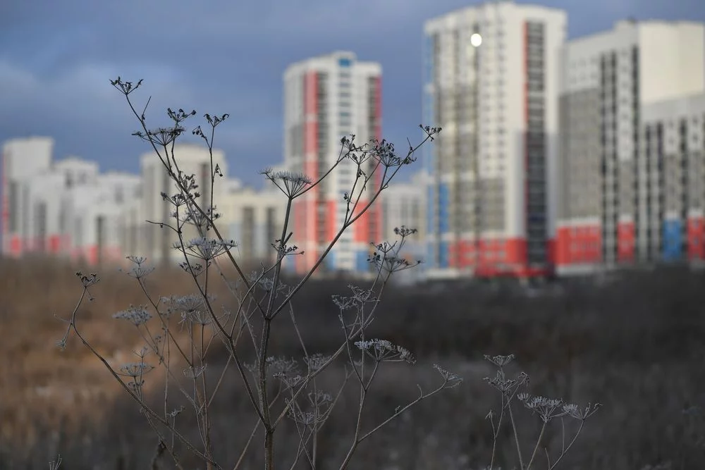 TASS_24234596.jpg