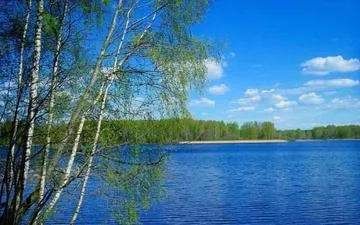 Коттеджный поселок "КитежградЪ" Коттеджный поселок "КитежградЪ"