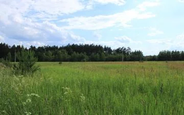 Коттеджный поселок "Лисицыны лужки" Коттеджный поселок "Лисицыны лужки"