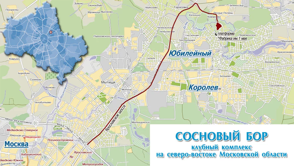 Сосны 3 где находится Сосны 3 где находится