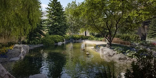 В трети элитных домов Москвы есть водные объекты