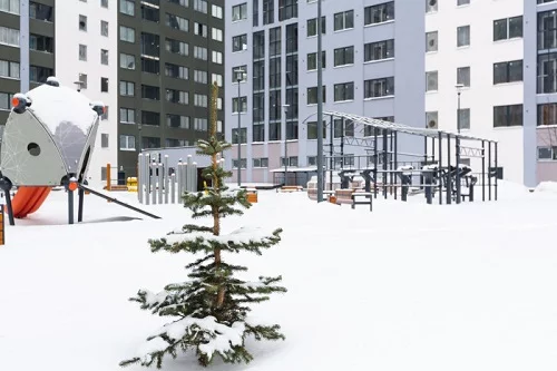 Введены в эксплуатацию два корпуса ЖК Parkolovо