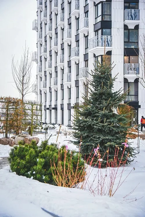 В парке квартала Wellton Park появятся амфитеатры