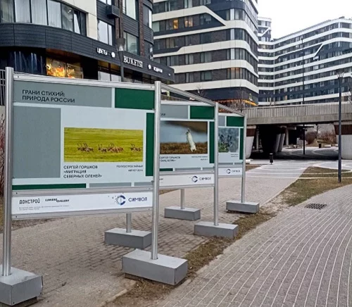 В «Символе» открылась фотовыставка о дикой природе