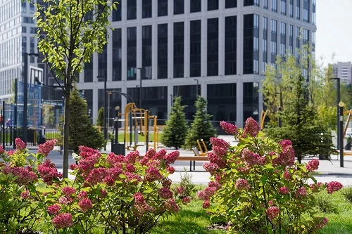 Во дворе-парке West Garden разобьют сады