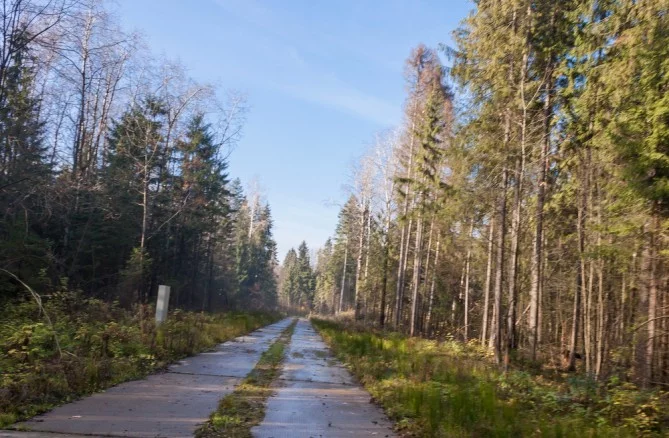 Пушкинский лес карта