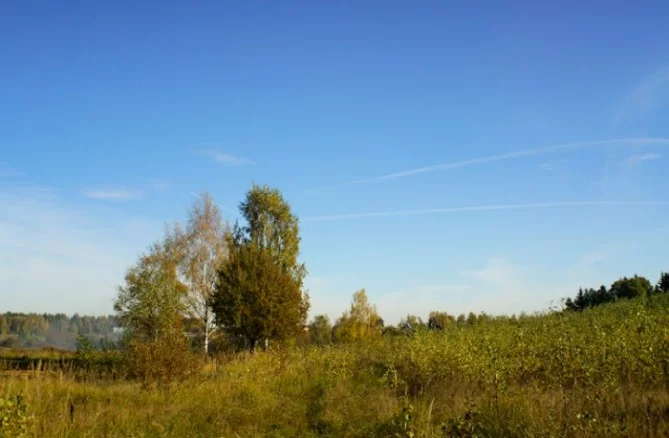 Поселок родной